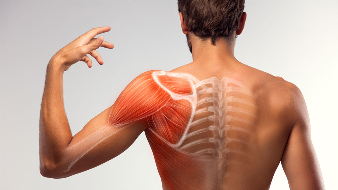 3 Moves to Prevent Shoulder Pain - Shoulder Blade Pain